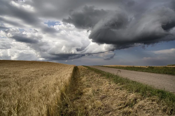 Nubes de tormenta Saskatchewan —  Fotos de Stock