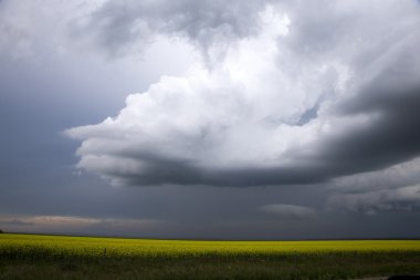 fırtına bulutları saskatchewan