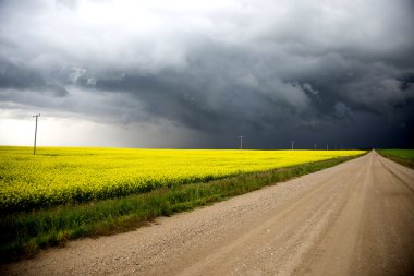 fırtına bulutları saskatchewan
