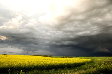 fırtına bulutları saskatchewan