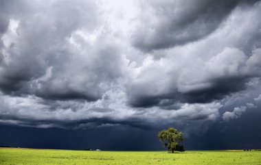 fırtına bulutları saskatchewan