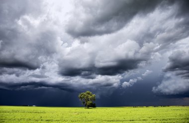 fırtına bulutları saskatchewan