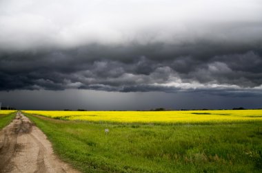 fırtına bulutları saskatchewan