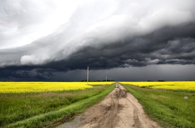 fırtına bulutları saskatchewan
