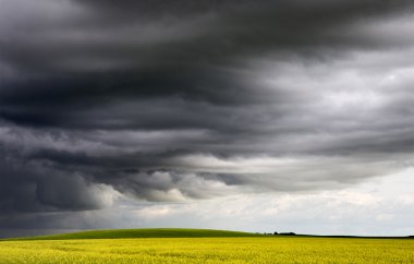 fırtına bulutları saskatchewan