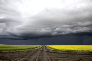 fırtına bulutları saskatchewan