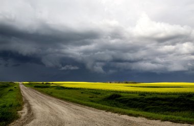 fırtına bulutları saskatchewan