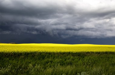 fırtına bulutları saskatchewan