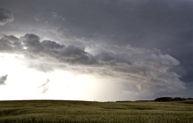 fırtına bulutları saskatchewan