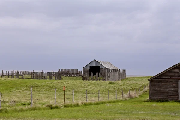 Saskatchewan Farm Buildings — ストック写真