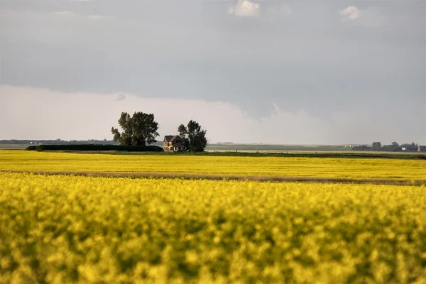 Nuvole di tempesta Saskatchewan — Foto Stock