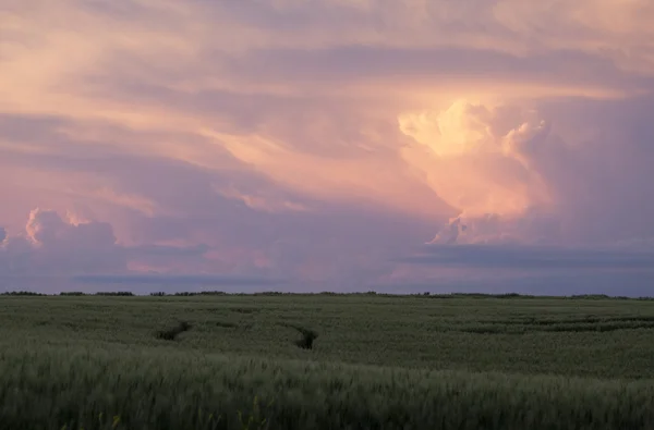 Nubes de tormenta Saskatchewan — Foto de Stock