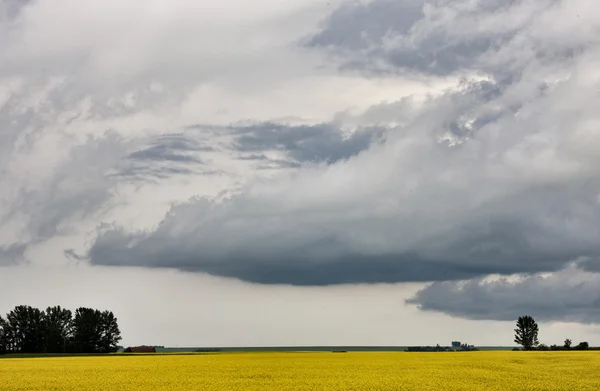 Nuages de tempête Saskatchewan — Photo