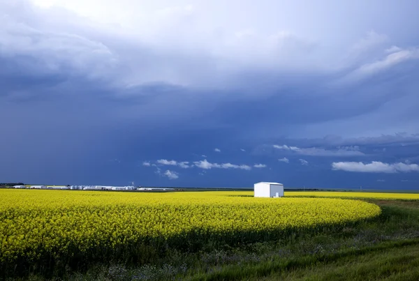 Bouřková mračna saskatchewan — Stock fotografie