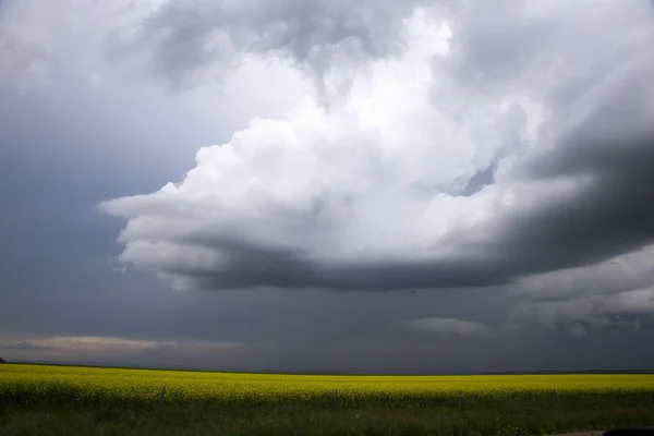 Storm moln saskatchewan — Stockfoto