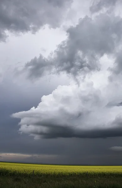 Storm Clouds Saskatchewan — Stock Photo, Image