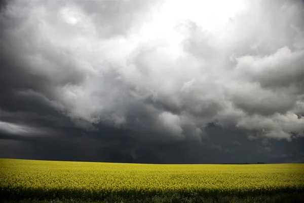 Storm wolken saskatchewan — Stockfoto