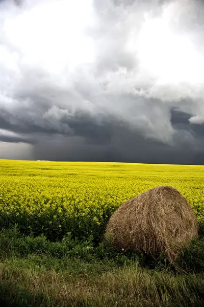 Fırtına bulutları saskatchewan — Stok fotoğraf