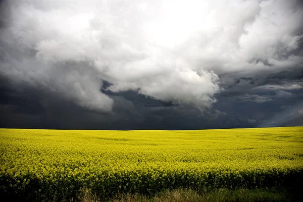 Storm wolken saskatchewan — Stockfoto