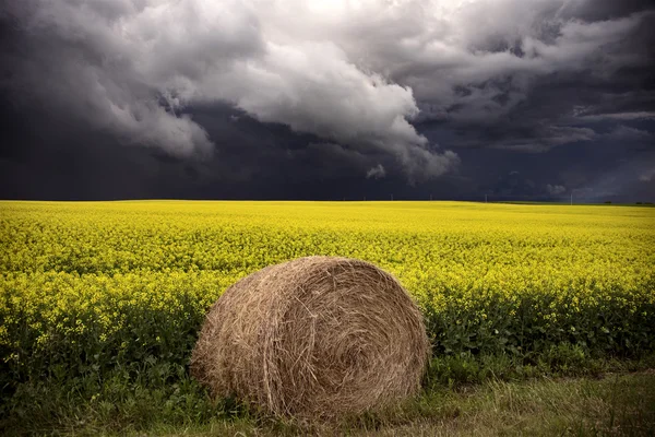 Myrskypilvet Saskatchewan — kuvapankkivalokuva