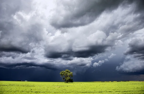 Nuages de tempête Saskatchewan — Photo