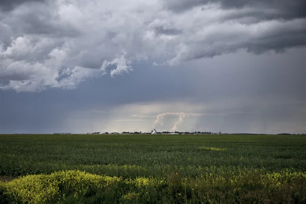 Viharfelhők Saskatchewan — Stock Fotó