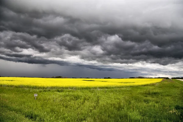 Storm wolken saskatchewan — Stockfoto