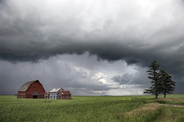 Storm wolken saskatchewan — Stockfoto