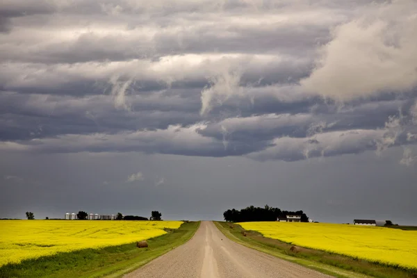 Nuvens de tempestade Saskatchewan — Fotografia de Stock