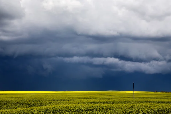 Storm moln saskatchewan — Stockfoto