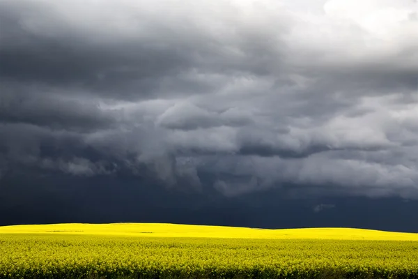 Nubes de tormenta Saskatchewan —  Fotos de Stock