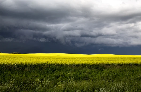 Nuvole di tempesta Saskatchewan — Foto Stock
