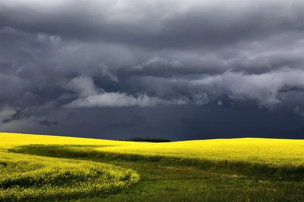 Fırtına bulutları saskatchewan — Stok fotoğraf