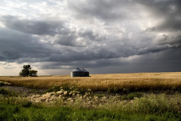 Nuvens de tempestade Saskatchewan — Fotografia de Stock