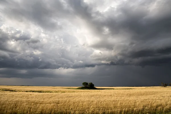 Nuvens de tempestade Saskatchewan — Fotografia de Stock