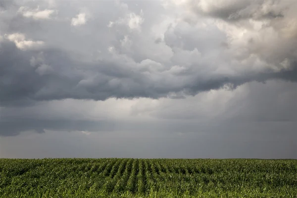 Nuvole di tempesta Saskatchewan — Foto Stock