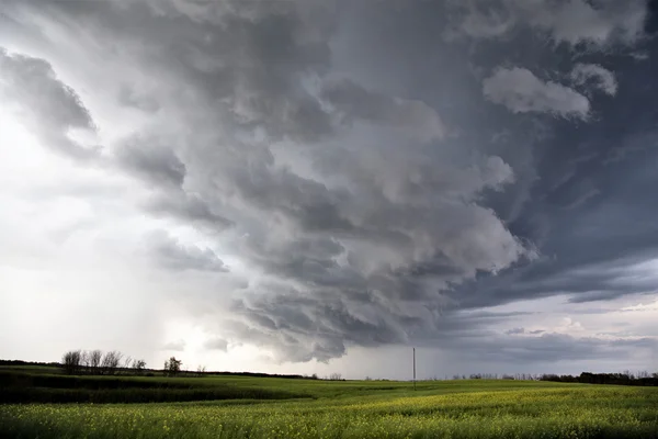 Burzowe chmury saskatchewan — Zdjęcie stockowe