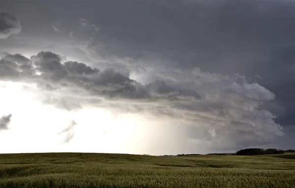 Nuvens de tempestade Saskatchewan — Fotografia de Stock