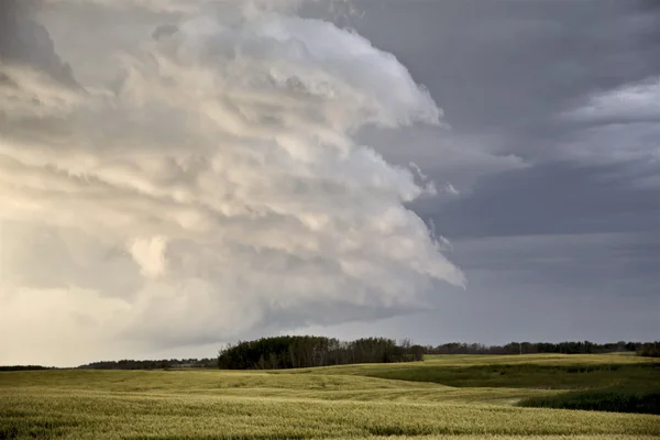 Storm wolken saskatchewan — Stockfoto