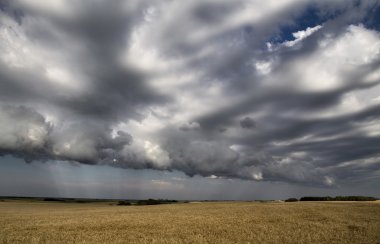 fırtına bulutları saskatchewan
