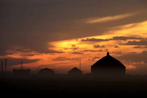 Betakarítás naplemente Saskatchewan — Stock Fotó