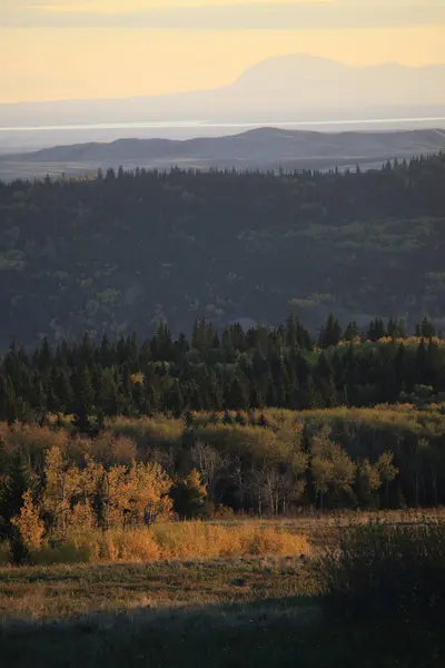 Φθινόπωρο χρώματα κυπαρίσσια λόφους Καναδά — Φωτογραφία Αρχείου