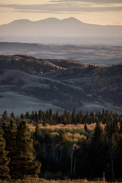 Hösten färger Cypress Hills Kanada — Stockfoto