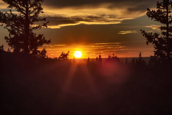 Cores do outono Cypress Hills Canadá — Fotografia de Stock