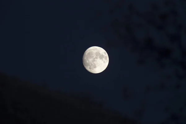 Full Moon Canada — Stock Photo, Image