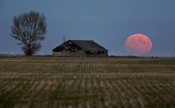 Bâtiments abandonnés Saskatchewan — Photo