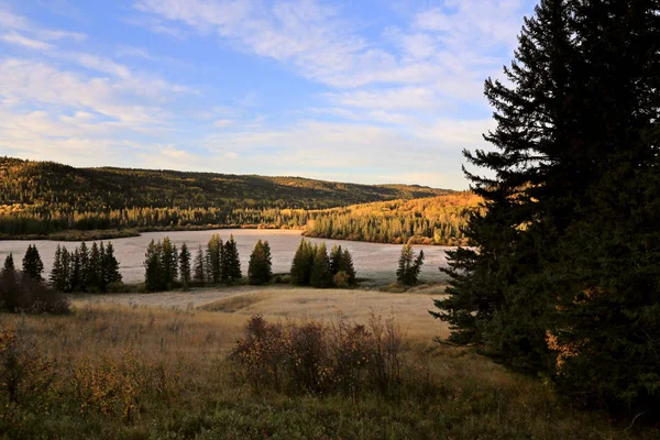 Autumn Colors Cypress Hills Canada — Stock Photo, Image