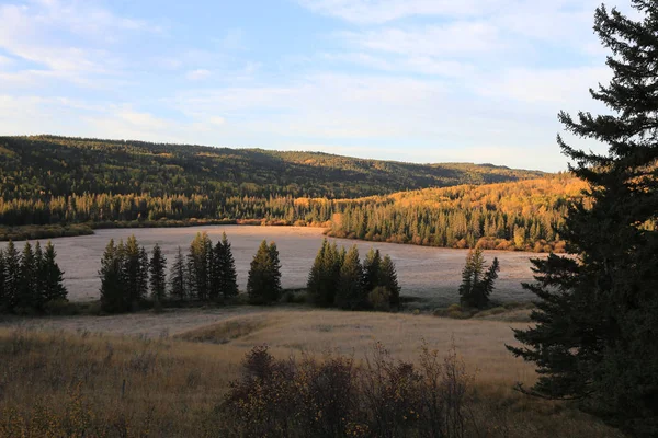 Jesienne kolory Cypress Hills Kanada — Zdjęcie stockowe