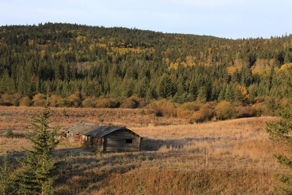 Colores de otoño Cypress Hills Canadá —  Fotos de Stock