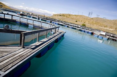 Göl Brisbane somon çiftlik